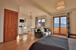 Отель Apartamenty Widokówka, Гмина Косцелиско